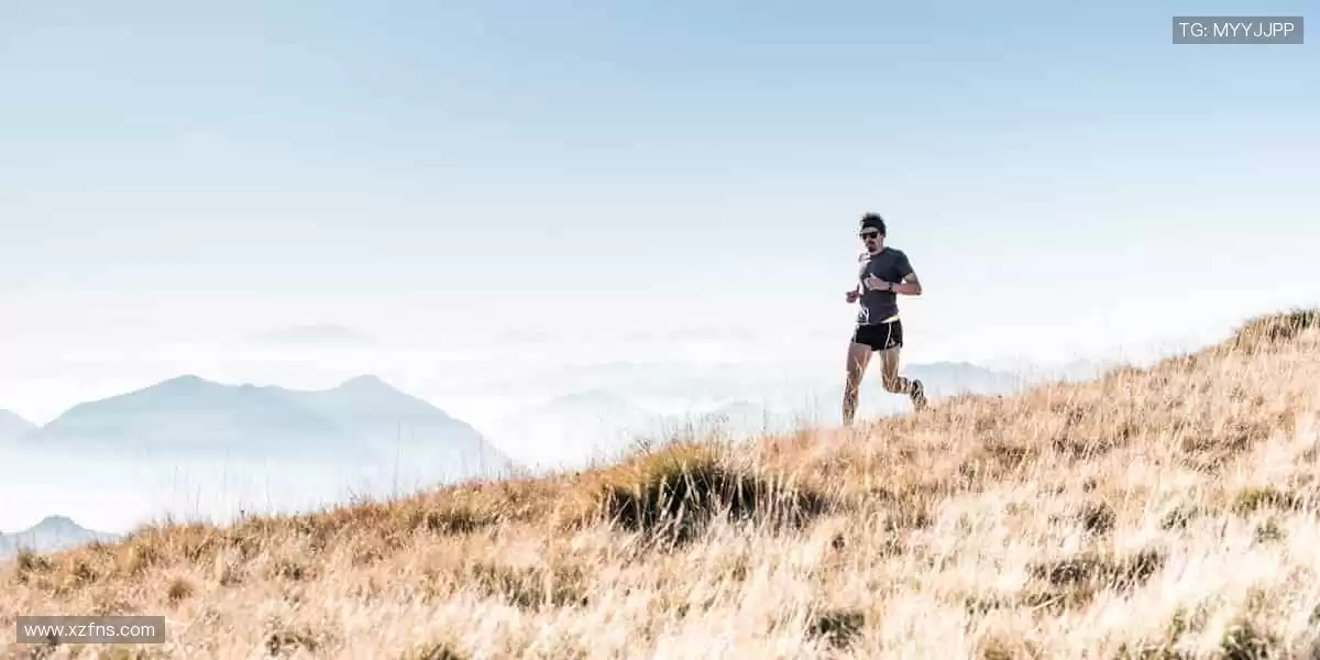 🎙️深度解读，冠军之路！🏆揭秘赛场背后的热血与汗水！